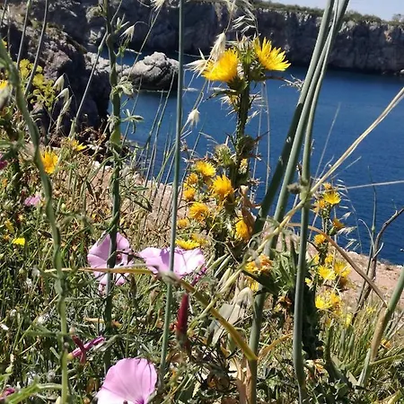 Apartamento Terra Sinus House *