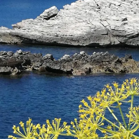 Apartamento Terra Sinus House Terrasini