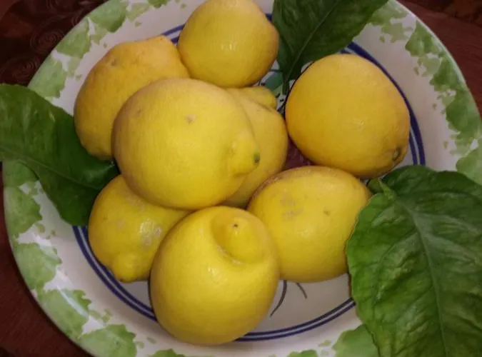 Terra Sinus House 公寓