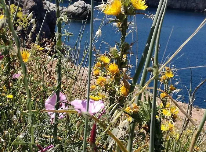 公寓 Terra Sinus House *