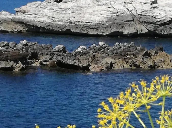 公寓 Terra Sinus House 泰拉西尼